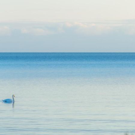 Modern Sea View Apartments By Villa Kuus Solme クレサーレ エクステリア 写真