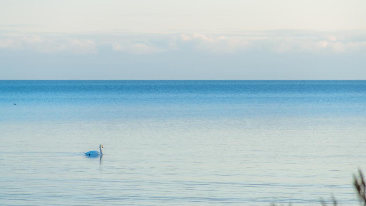 Modern Sea View Apartments By Villa Kuus Solme クレサーレ エクステリア 写真